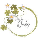Plates by Oxalis