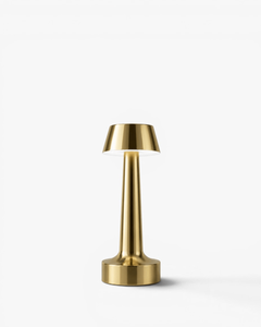 De Pro lamp, model naar keuze