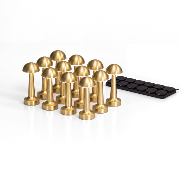 Aveline | Set of 12 incl. Charging Station